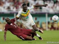 开云体育登录-关于荷兰碾压塞内加尔，阿尔巴惊艳世界的信息