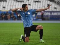 开云官方app入口-乌拉圭传奇球星卡瓦尼转会至巴西联赛，引发热议的简单介绍