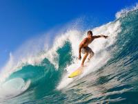 开云体育直播-欧冠淘汰赛焦点战，贝蒂斯防守锁死安哥拉，战术纪律铸就晋级之路