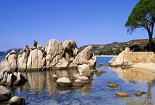 开云体育入口-阿根廷小胜委内瑞拉，晋级前景一片光明的简单介绍