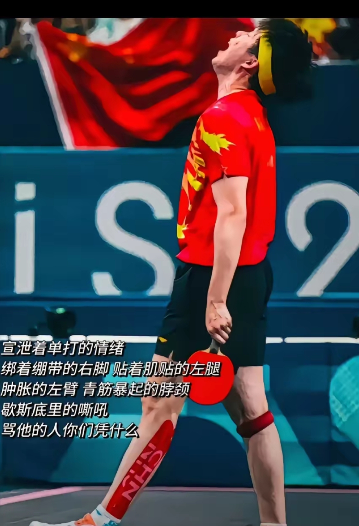 法国乒乓球队轻取奥地利乒乓球队，张继科打破历史纪录的简单介绍