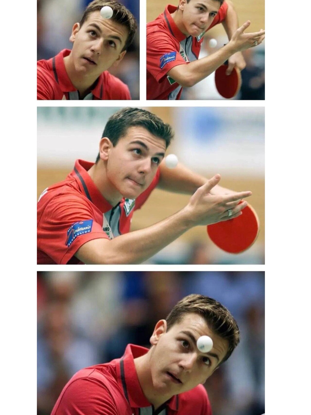 包含法国乒乓球队横扫奥地利乒乓球队，波尔惊艳世界的词条