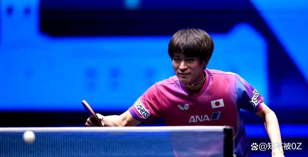 包含比利时乒乓球队逆转瑞典乒乓球队，张本智和高光表现的词条