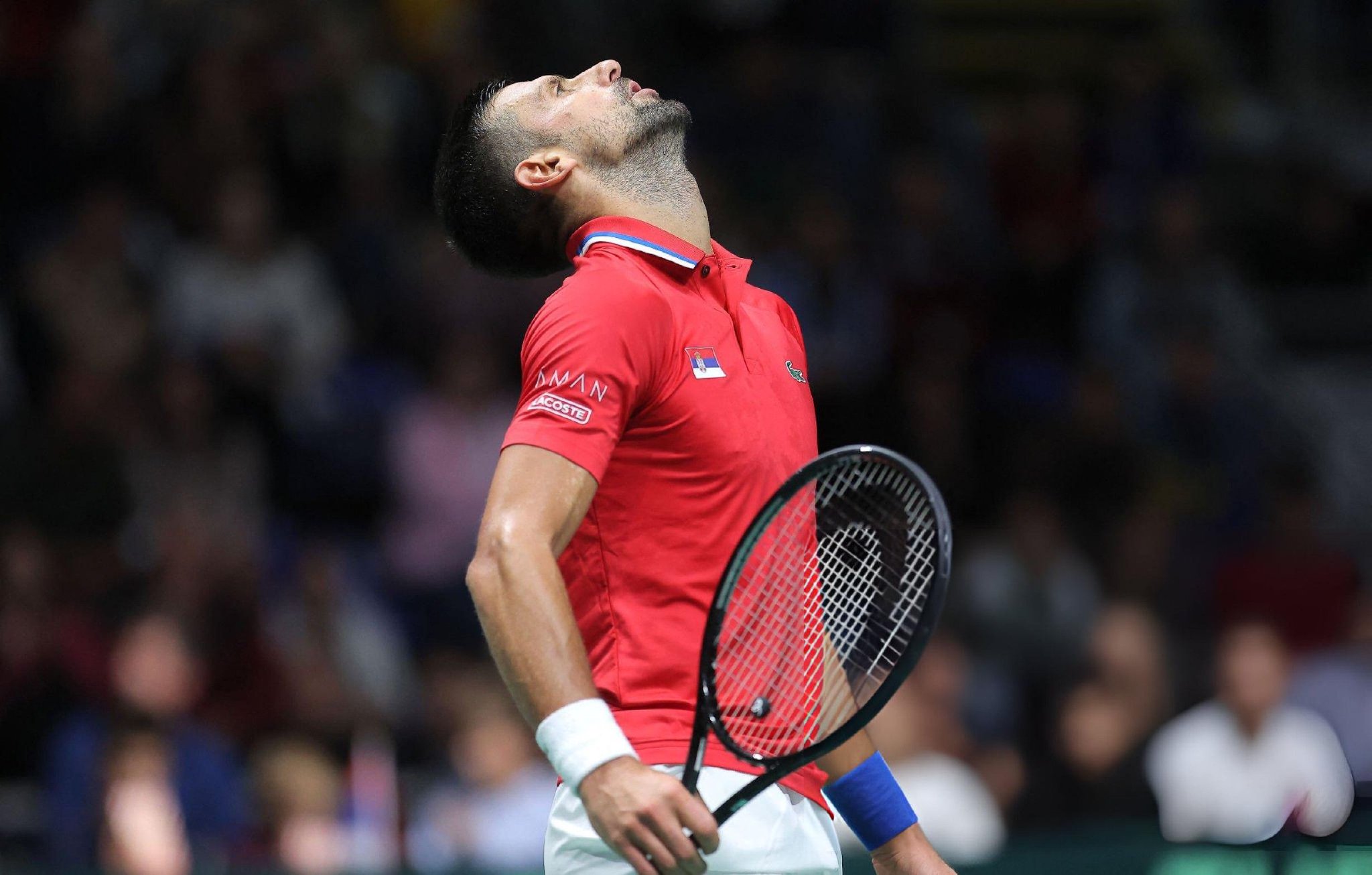 美网力克戴维斯杯,德约科维奇高光表现 美网力克戴维斯杯,德约科维奇高光表现