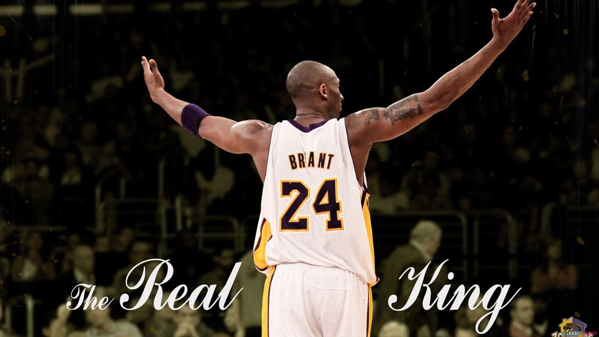 塞恩斯绝地反击，法拉利史诗逆转迈凯伦